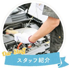 スタッフ紹介